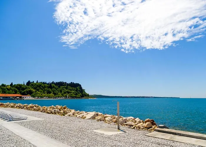 Floating House Sea Queen ポルトローシュ