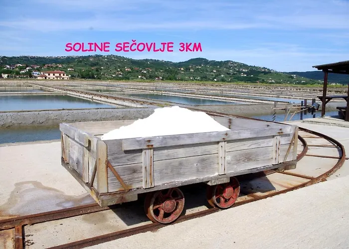 別荘 Floating House Sea Queen ポルトローシュ