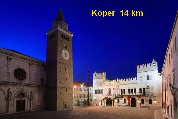 Floating House Sea Queen