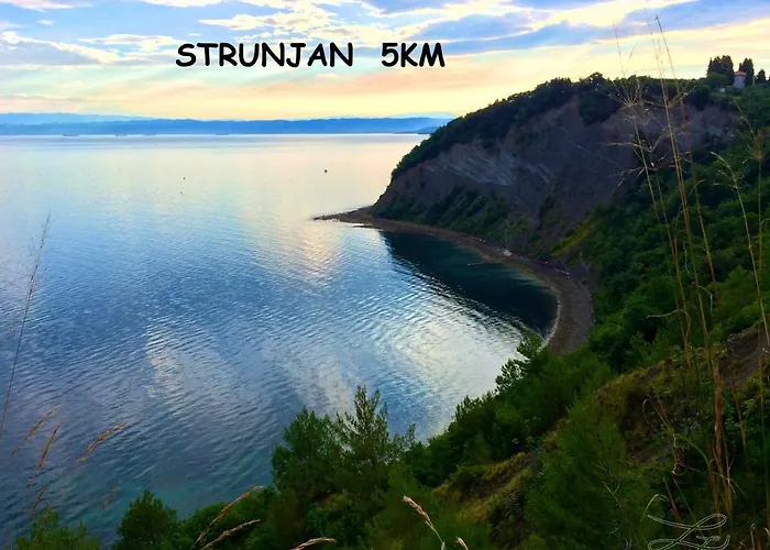 Floating House Sea Queen * ポルトローシュ